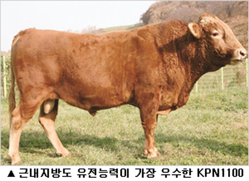 한우.jpg