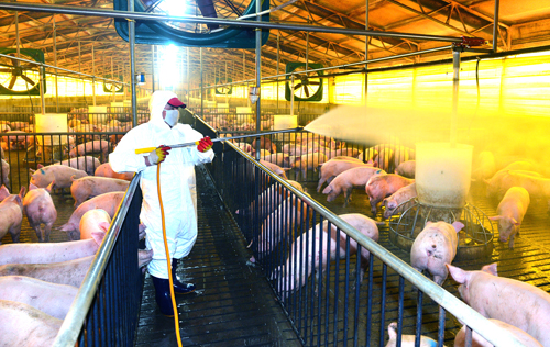 5-충북 축사 냄새 프로젝트.jpg