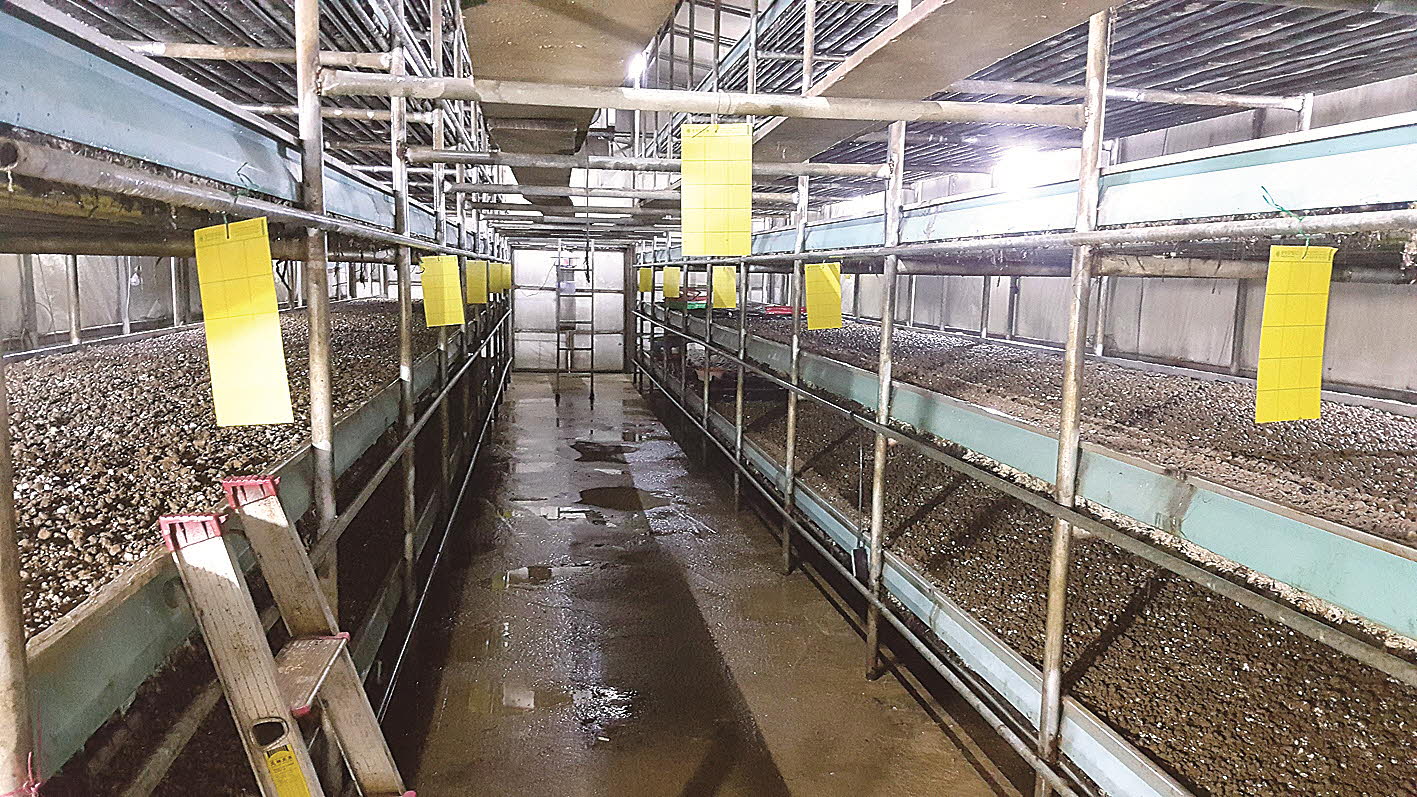 포맷변환_9-버섯재배사 화재주의.jpg