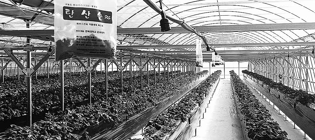 포맷변환_12-과채류 시설재배.jpg