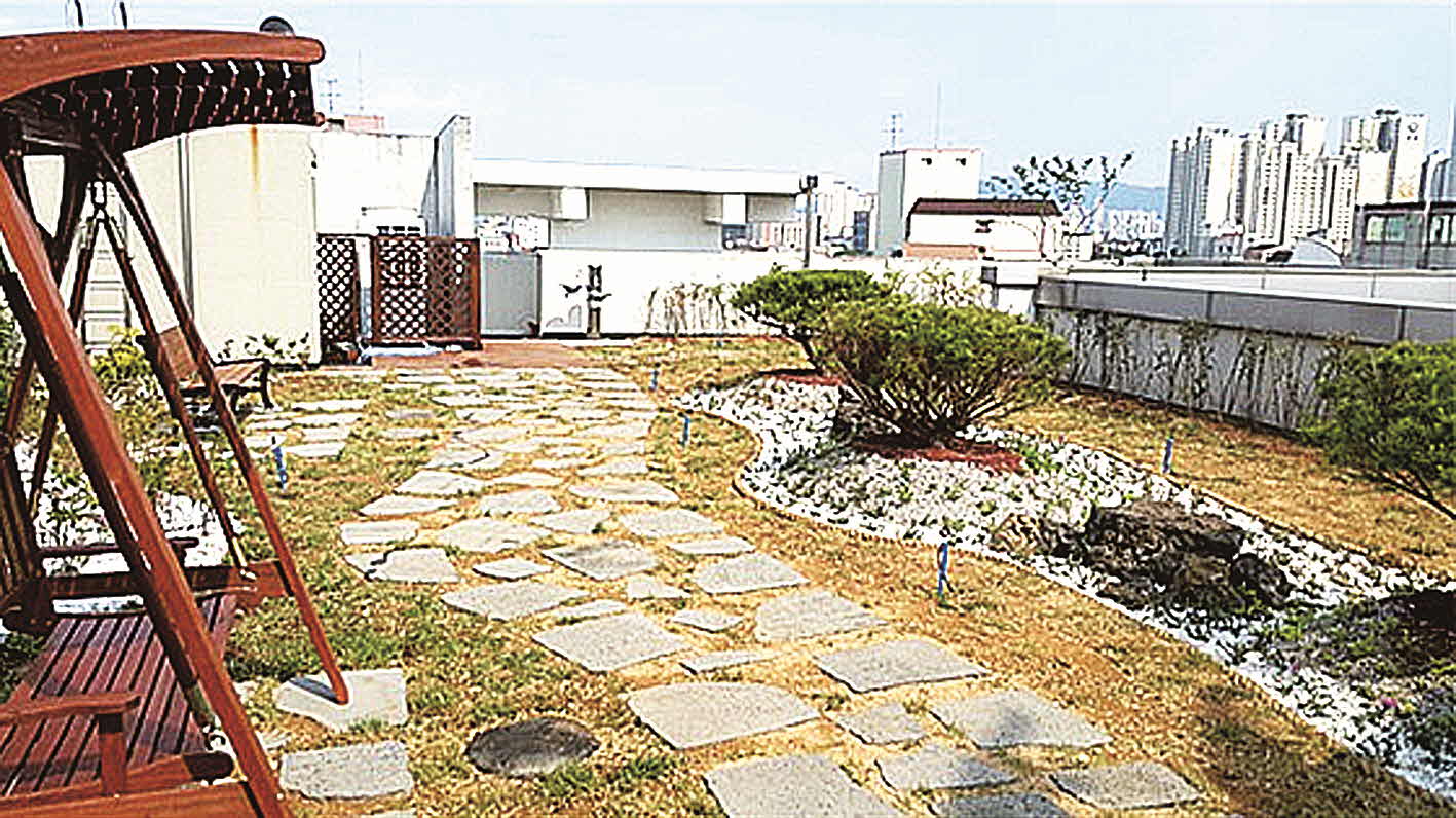 포맷변환_13-대구시 옥상텃밭.jpg