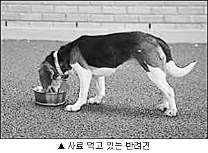 포맷변환_감자.jpg