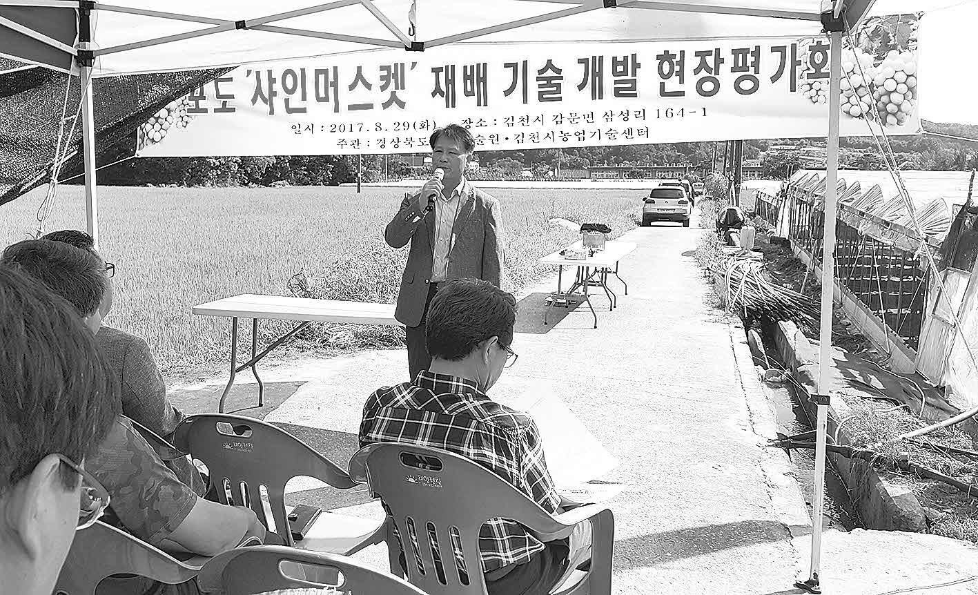 포맷변환_53-청포도 ‘샤인머스켓’.jpg