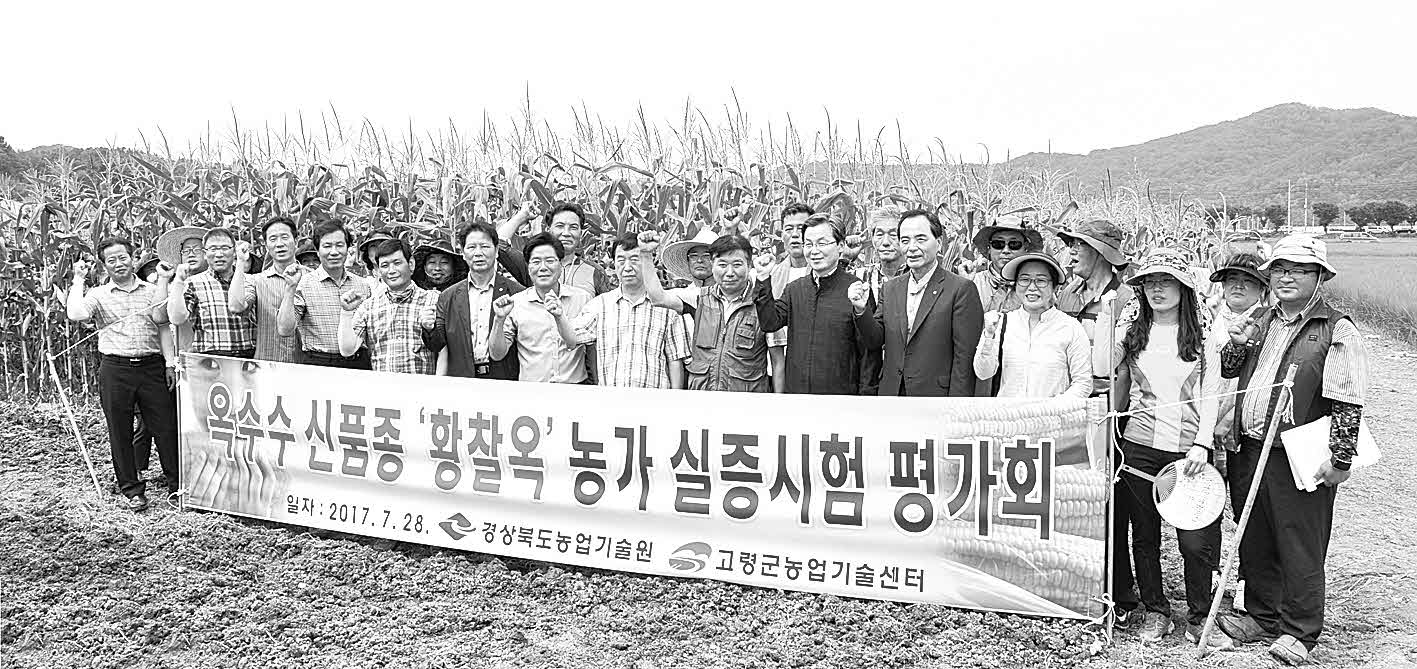 포맷변환_15-황찰옥 품종평가회.jpg