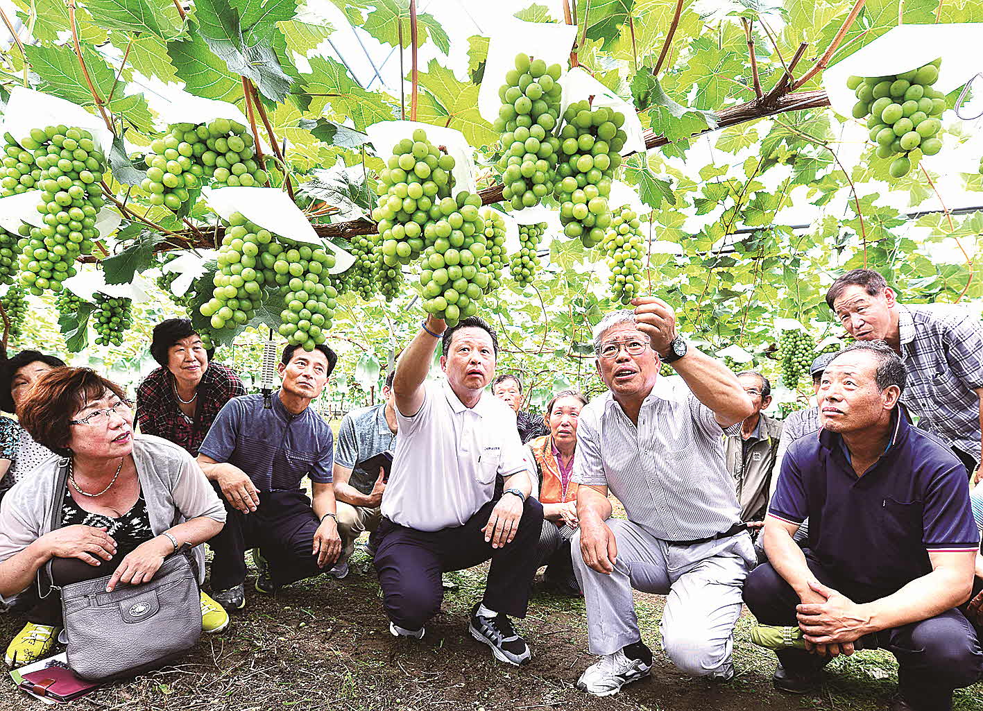 포맷변환_14-충북포도 해외전문가.jpg