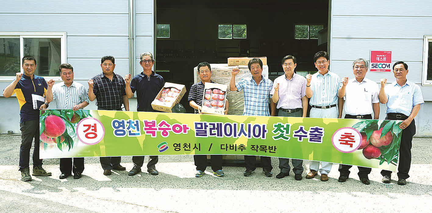 포맷변환_5-영천 복숭아 수출.jpg