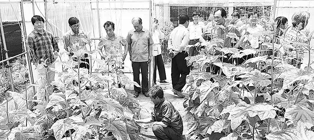 포맷변환_5=강원농기원, ‘자유학년제.jpg