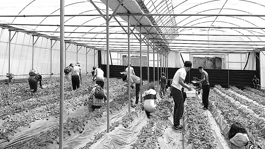 포맷변환_914-대구시, 농업체험 투어.jpg