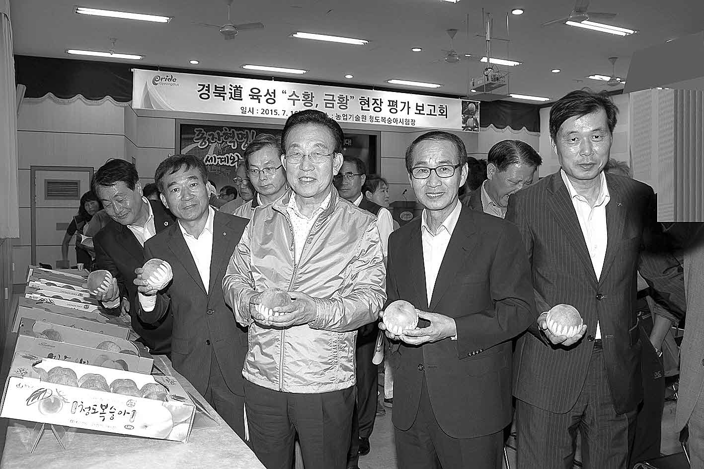 포맷변환_501-복숭아 신품종.jpg