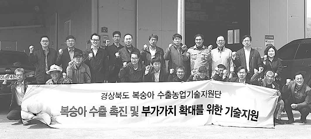 포맷변환_24-복숭아 수출농업기술지원단.jpg