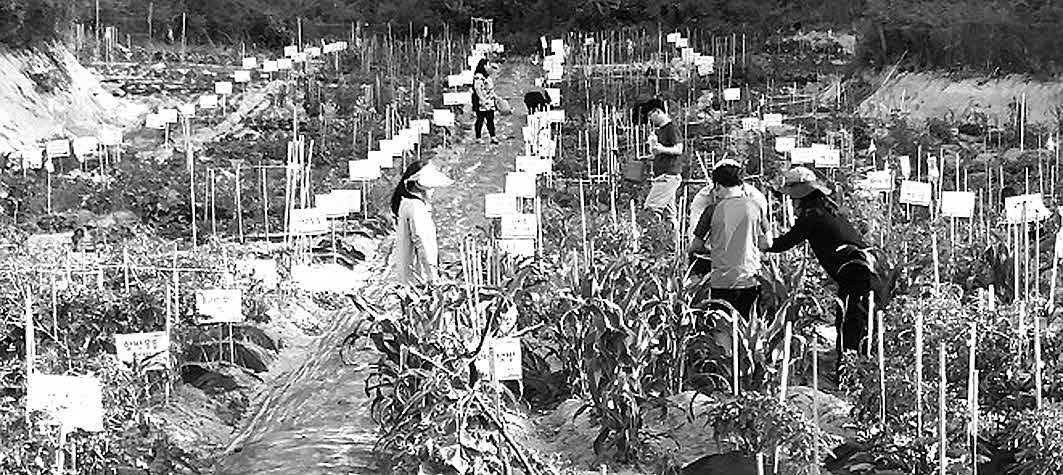 포맷변환_14-영주시, 농림축산식풉부.jpg