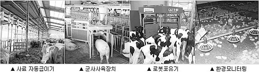 포맷변환_사육.jpg