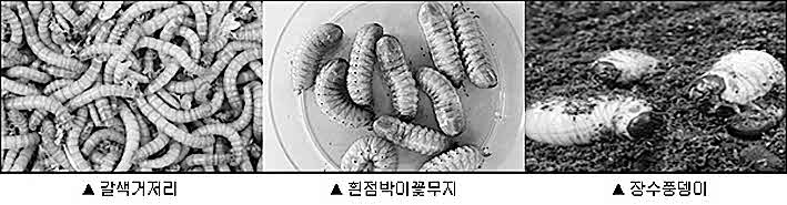 포맷변환_보고.jpg