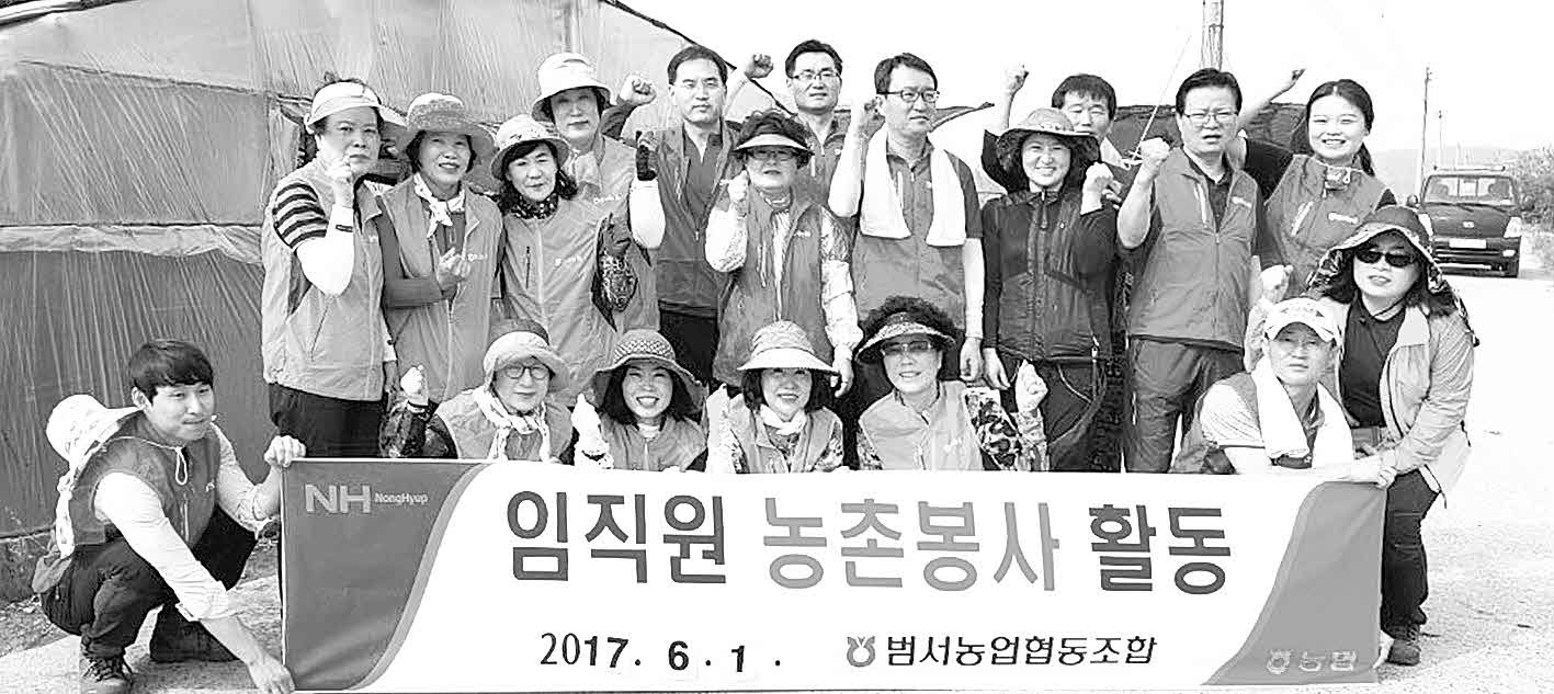 포맷변환_6-범서농협 당근수확 봉사.jpg