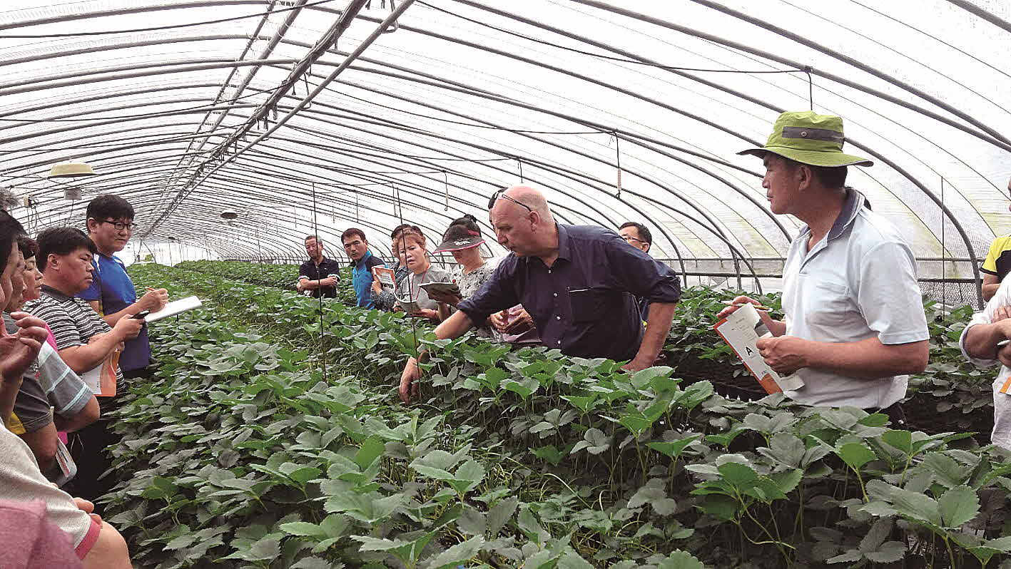 포맷변환_814-경남원, 딸기 해외전문가.jpg