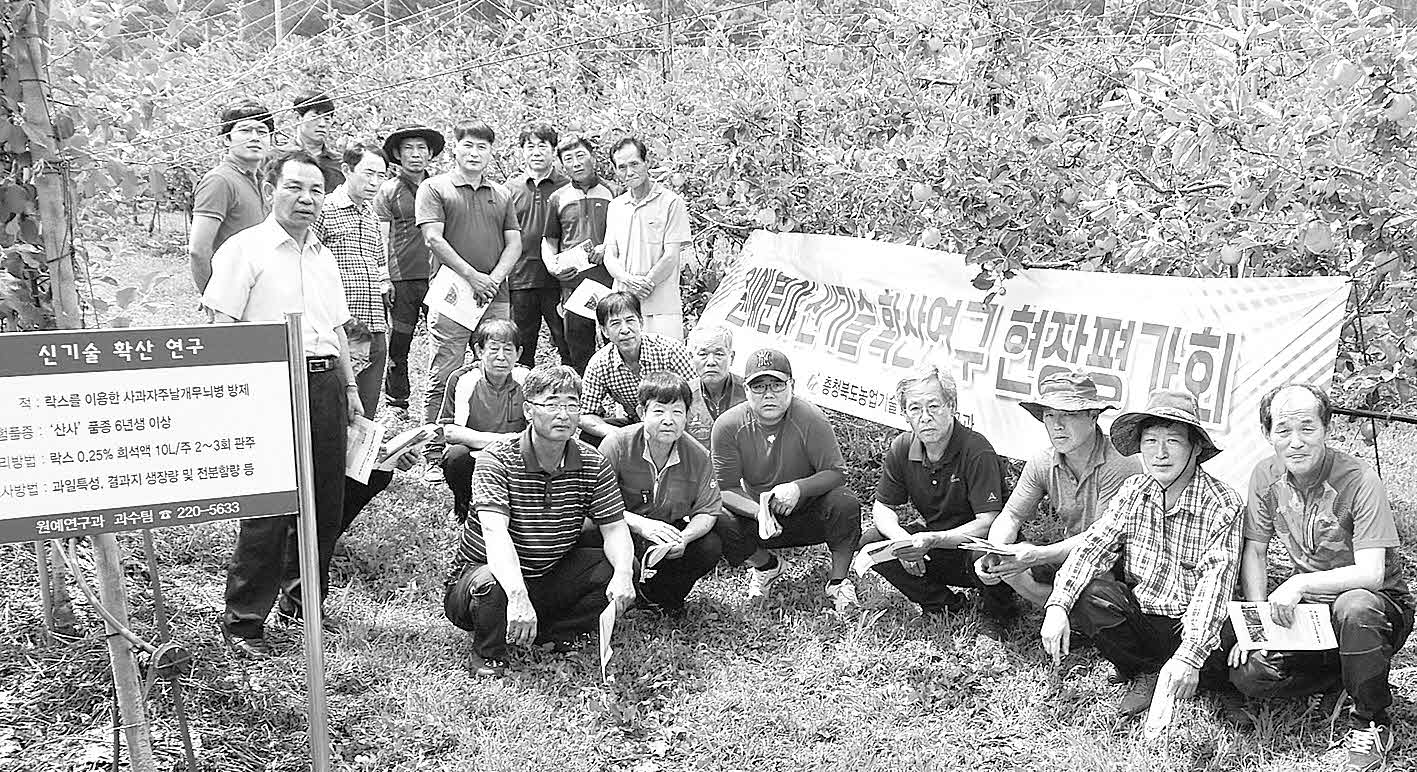 포맷변환_2-사과자주날개무늬병 방제.jpg