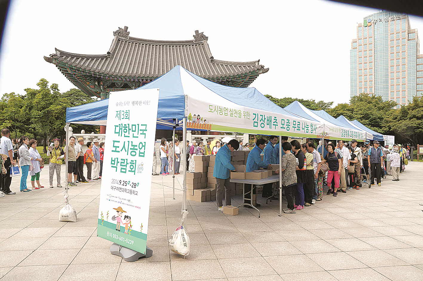 포맷변환_5- 대구시, 김장배추 무료.jpg