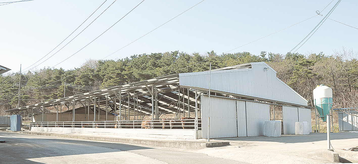 포맷변환_사진 (6).jpg