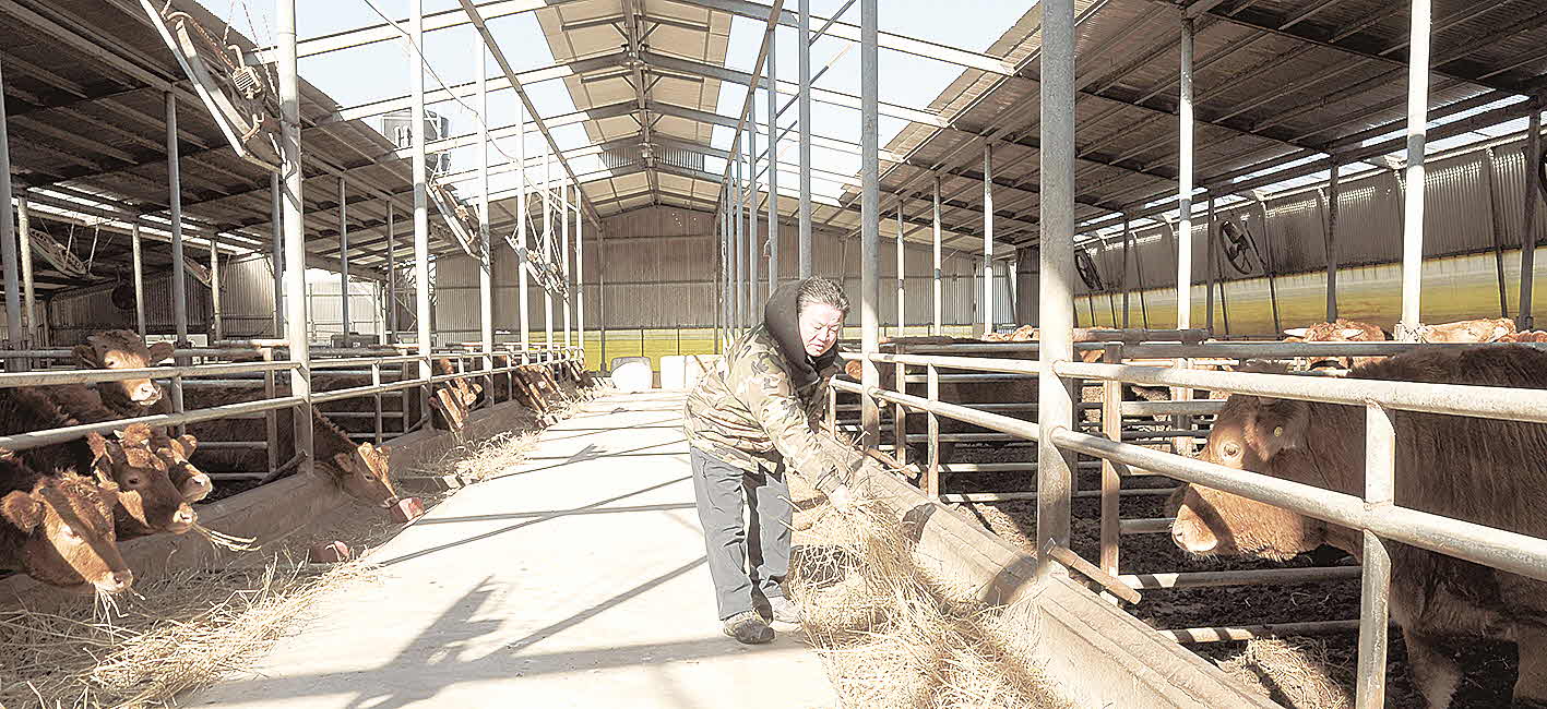 포맷변환_사진 (4).jpg