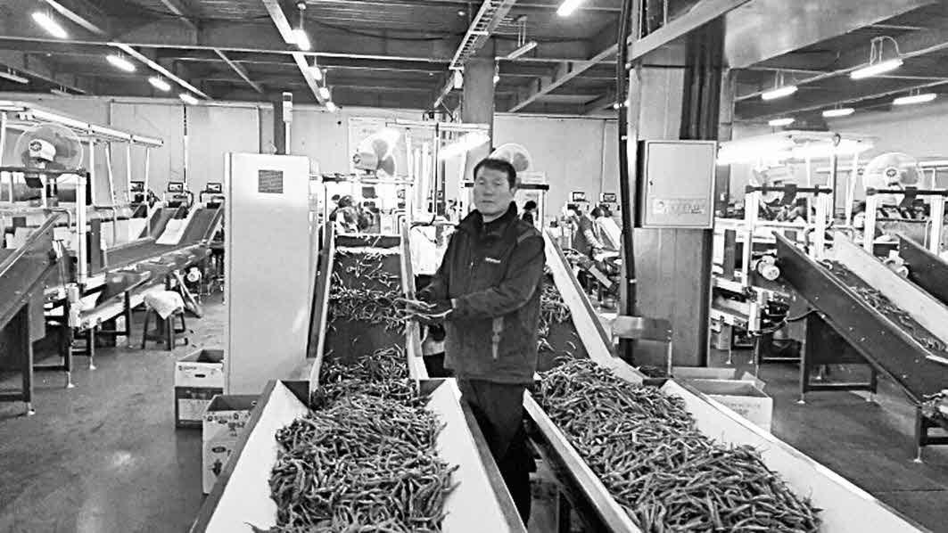 포맷변환_9-밀양 무안농협, 공선출하회.jpg