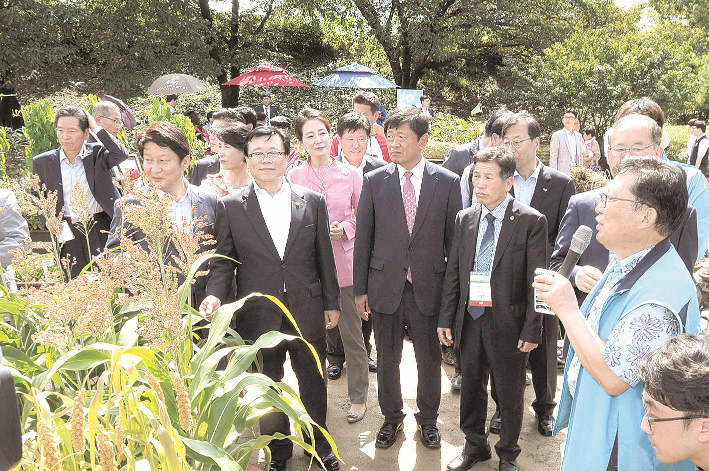 포맷변환_5- 수수밭 체험장.jpg