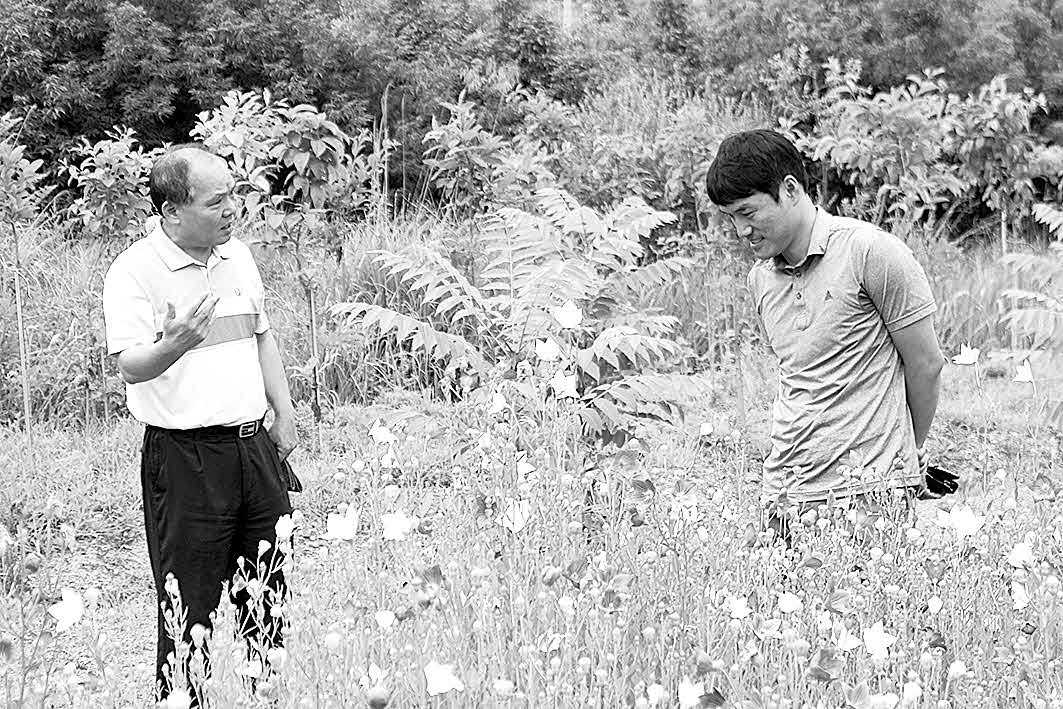 포맷변환_4-도라지 현장확인.jpg