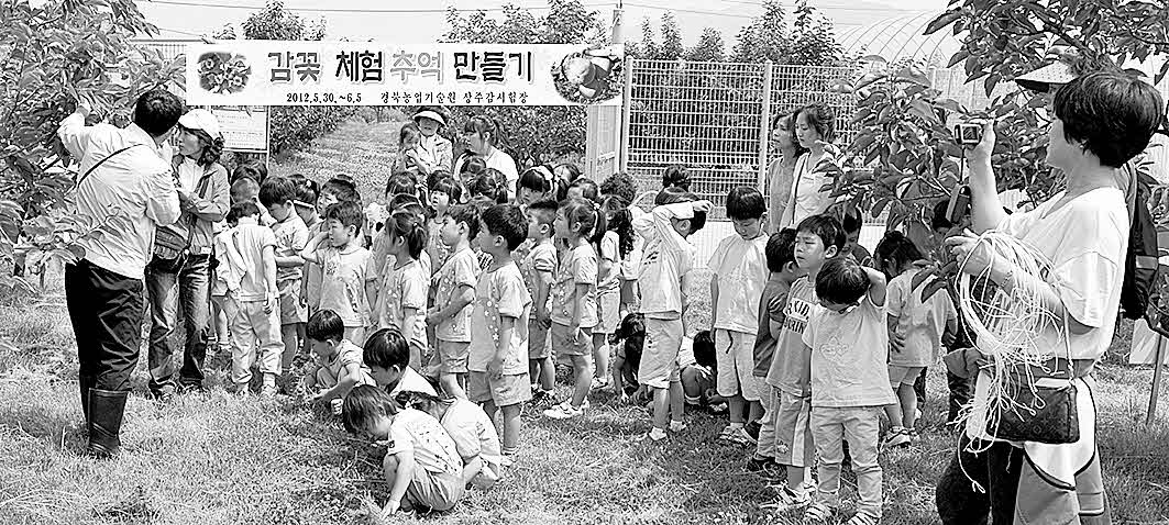 포맷변환_2- 상주감시험장, 토종감과 복사.jpg