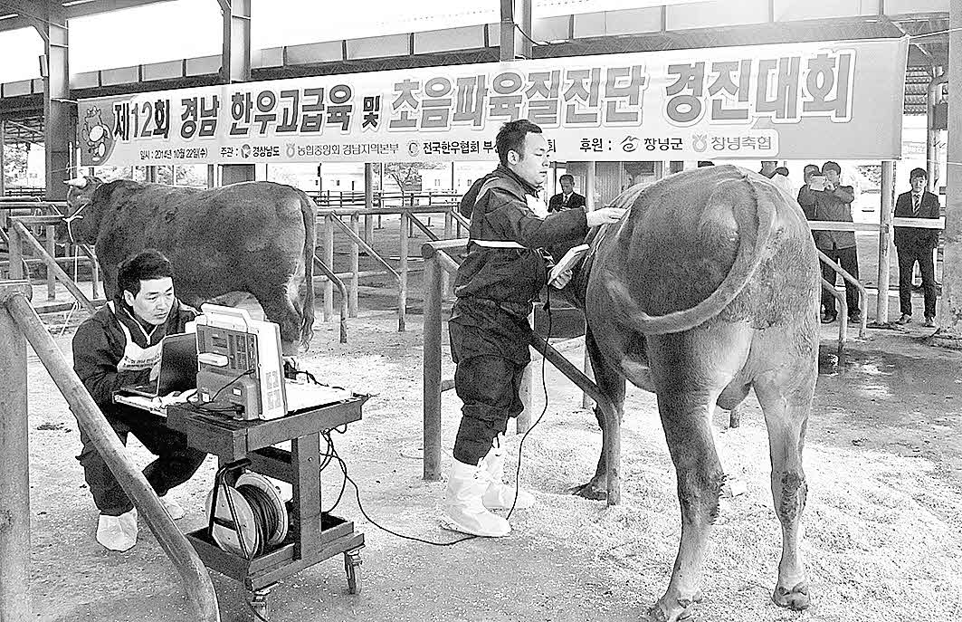 포맷변환_11- 진주축협, ‘초음파육질진단대회.jpg