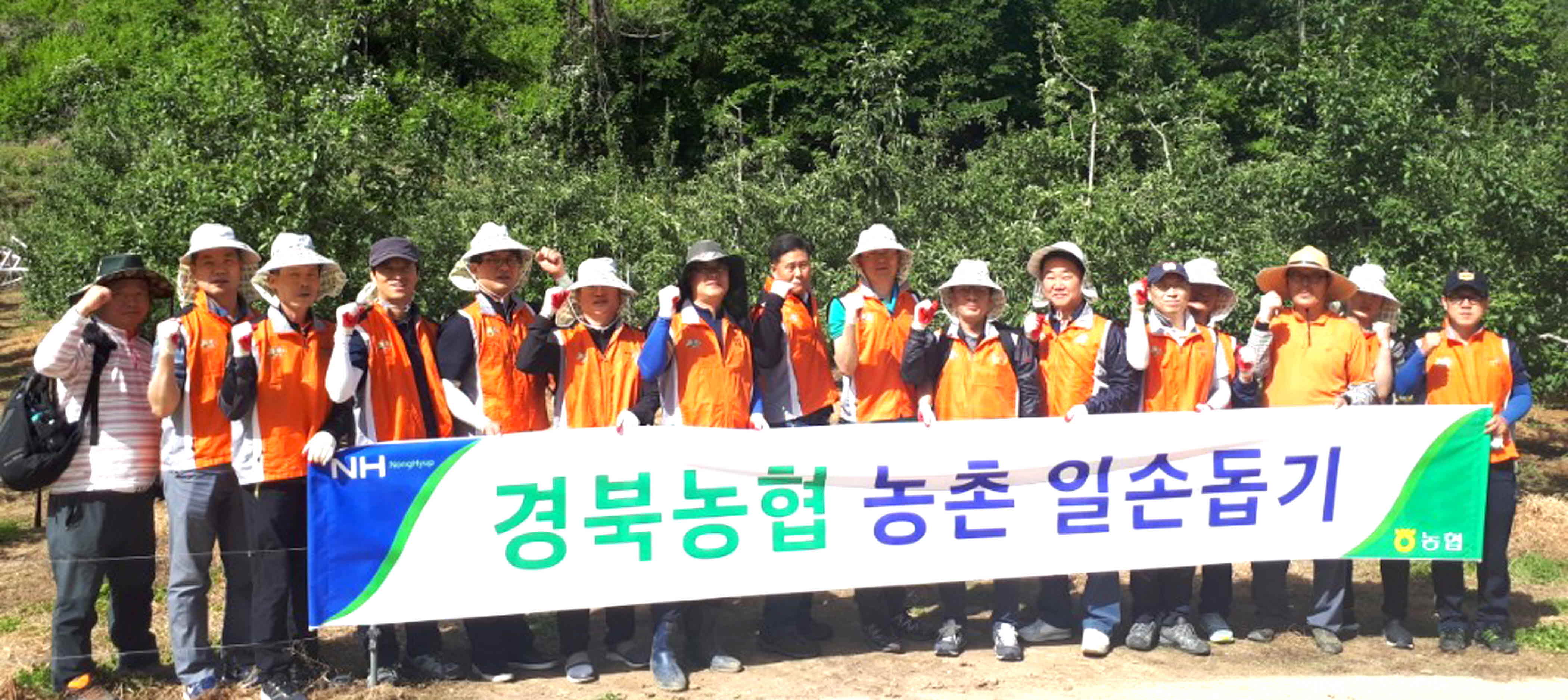 포맷변환_15-경북농협 임직원 농촌일손돕기.jpg