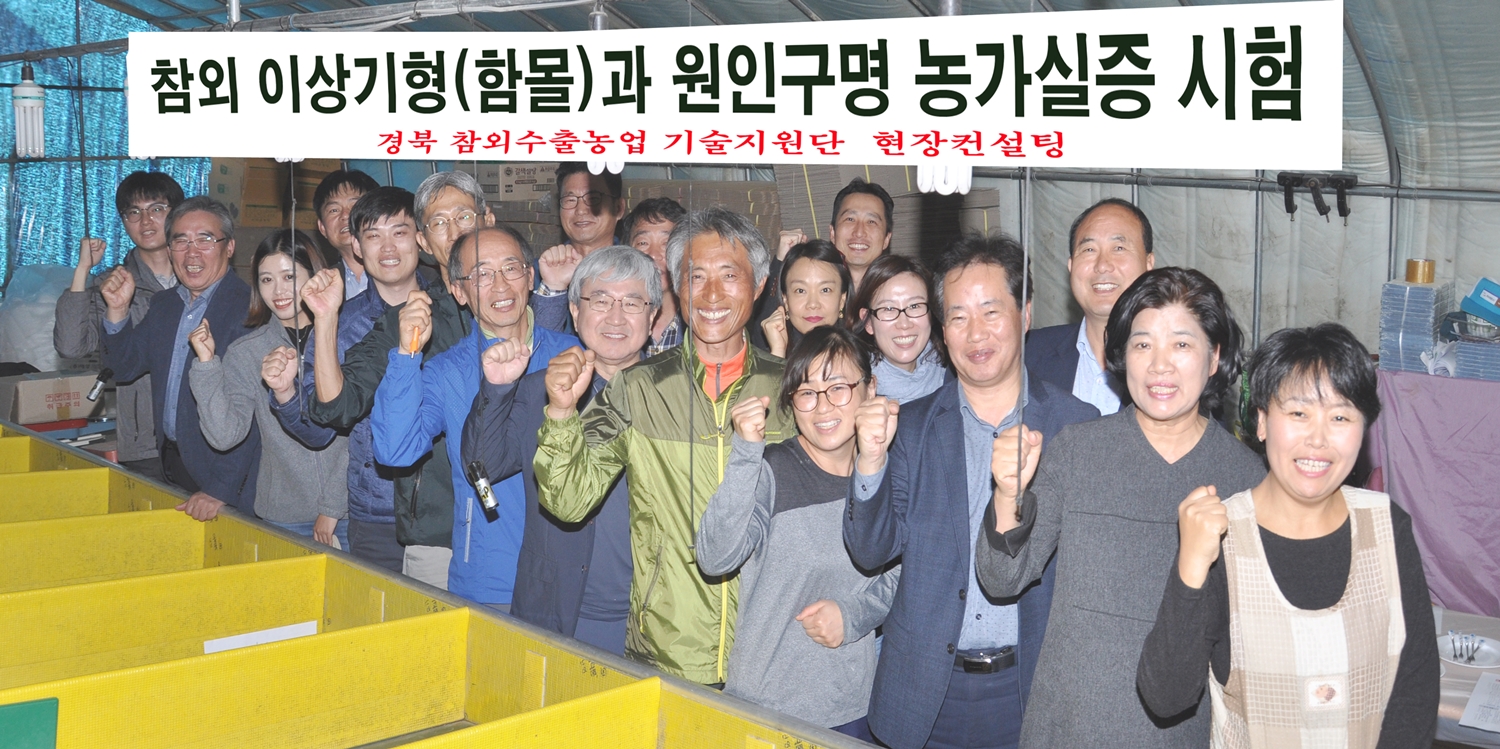 2-참외 컨설팅.jpg