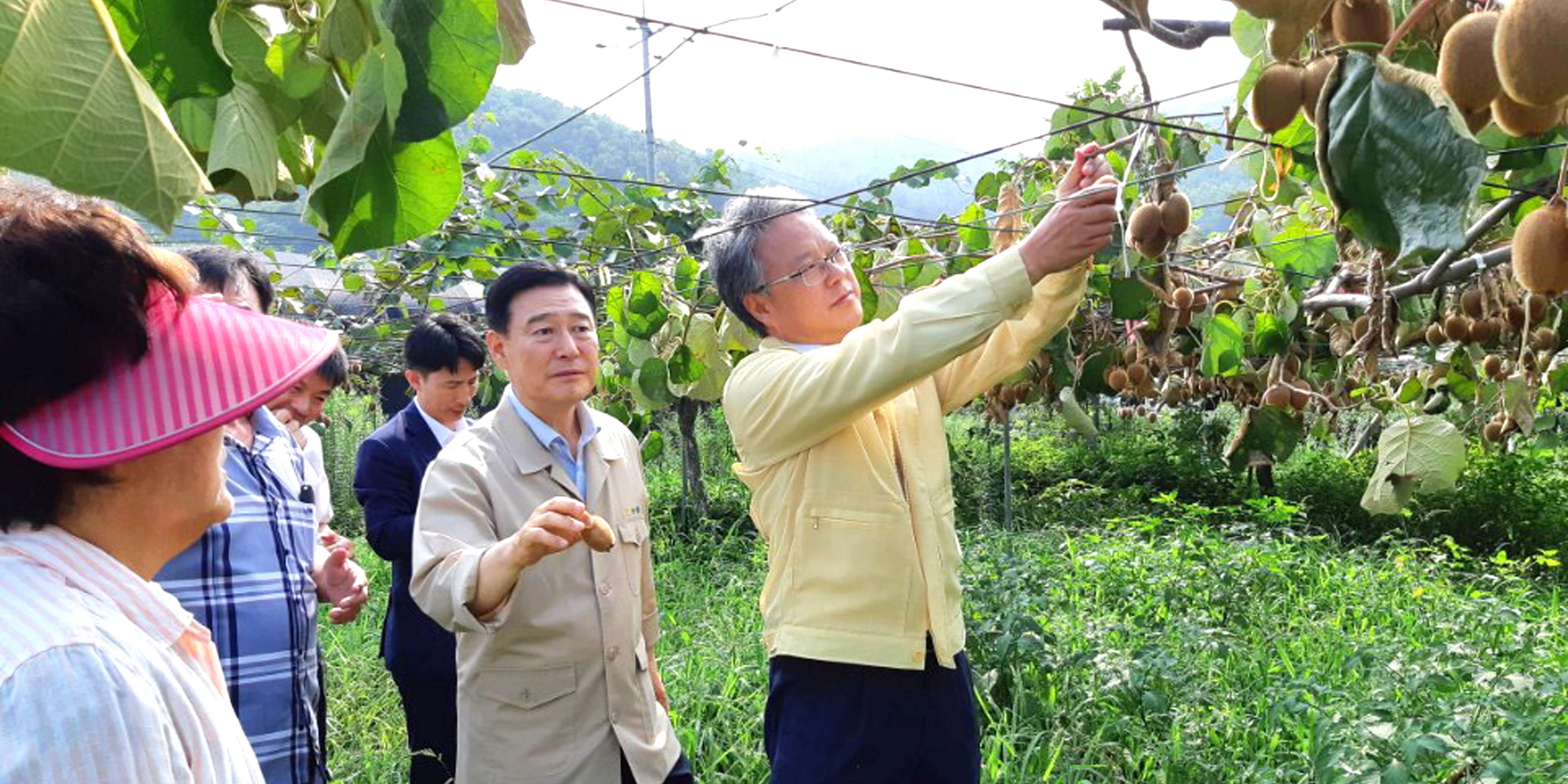 2-경남농 폭염피해현장.jpg