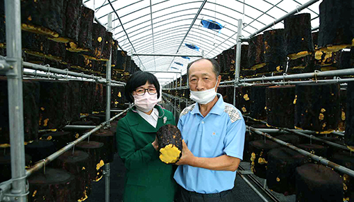 5-대구터 상황버섯 인공재배 기술.jpg