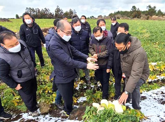 3-유찬형 농협부회장, 제주지역 한파.jpg