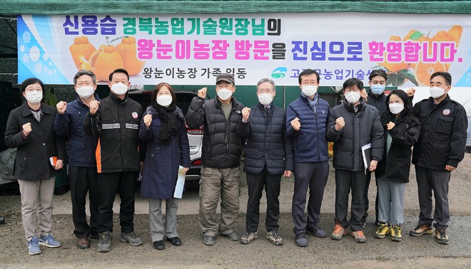 1-경북원 한라봉 본격출하.jpg