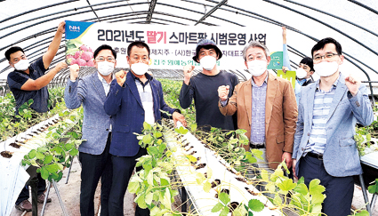 3-농협, 딸기 스마트팜 시범운영.jpg