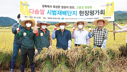 10.8-다솜쌀 현장평가회.JPG