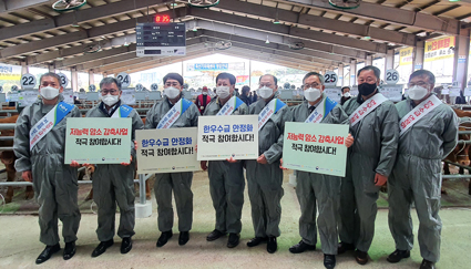 11.11-저능력 암소 감축사업.jpg