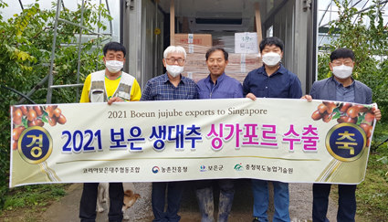 10.17-보은대추 싱가포르수출.jpg
