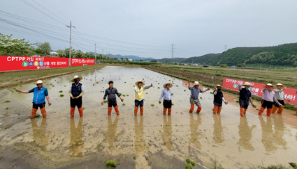 5.13-영천시농민회,  손모내기.jpg