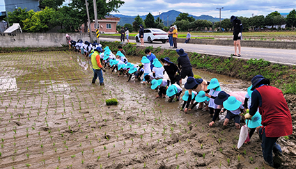 17-친환경 텃논밭 지원사업.jpg