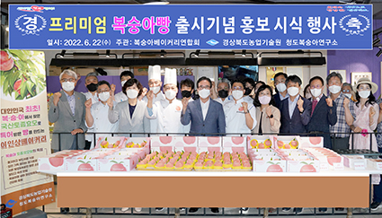 6.22-복숭아빵 시식행사.jpg