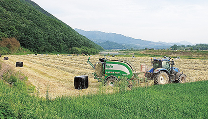 5-충북농기원, 사료작물 적기.jpg