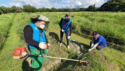 8.22-산소 벌초대행 서비스 운영.jpg