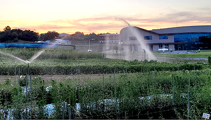 7p-충북농기원, 관수시스템 개.jpg