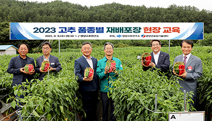 기사-제16회 고추품종평가회(8.9.jpg
