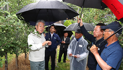 109-우박피해농가 현장점검.jpg