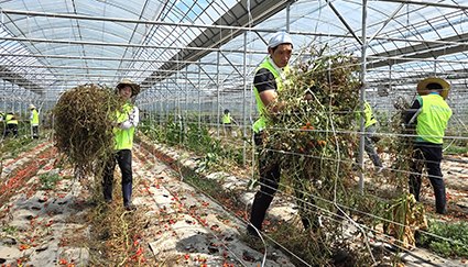 8.4-농협인재개발원, 일손++.jpg