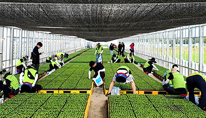 8.1-농신보, 집중호우 일손++.jpg