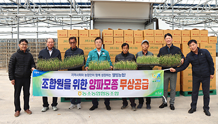 11.13-농소농협, 양파모종무상++.jpg