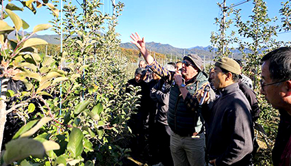 11.14-경남사과, 재배기술 전수.jpg